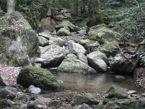 画像 119.jpg